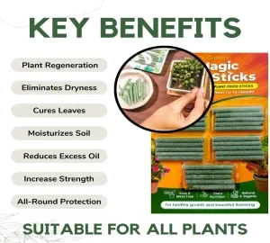 Magic Plant Sticks (pack of 4)